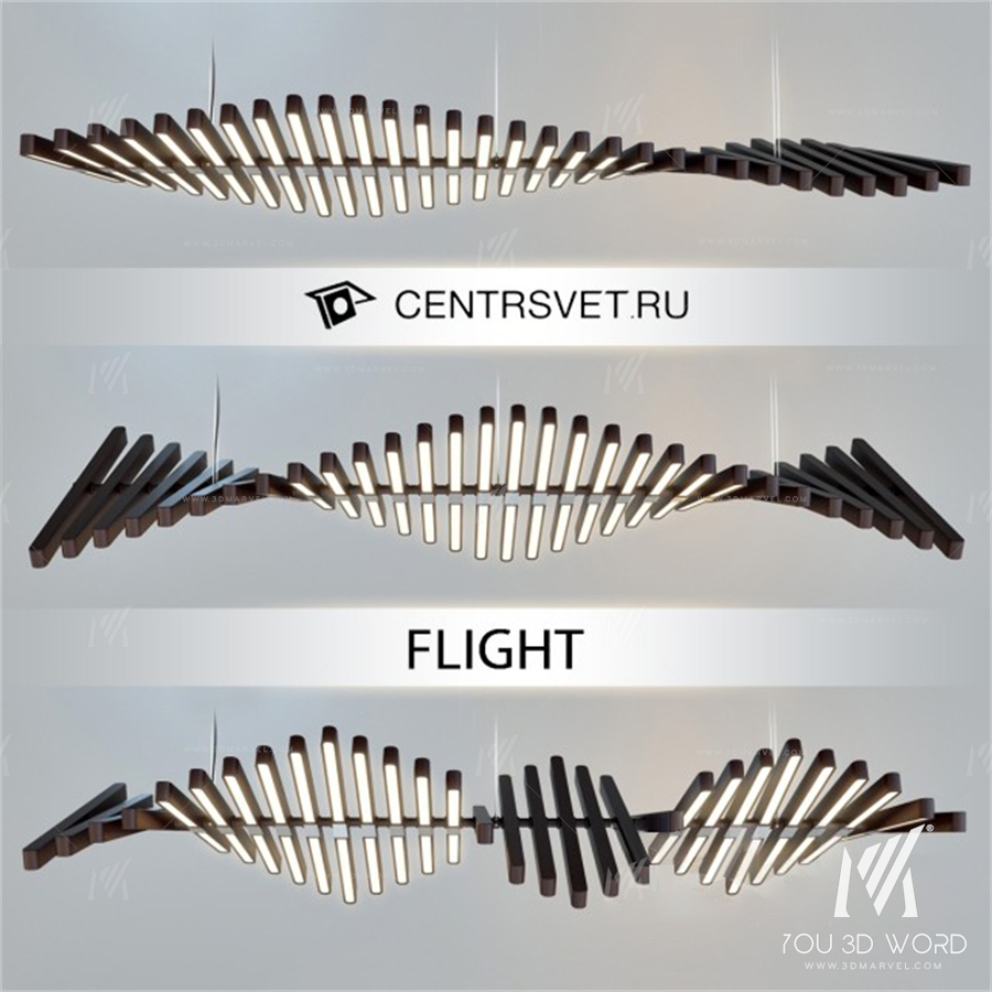 CENTRSVET_FLIGHT